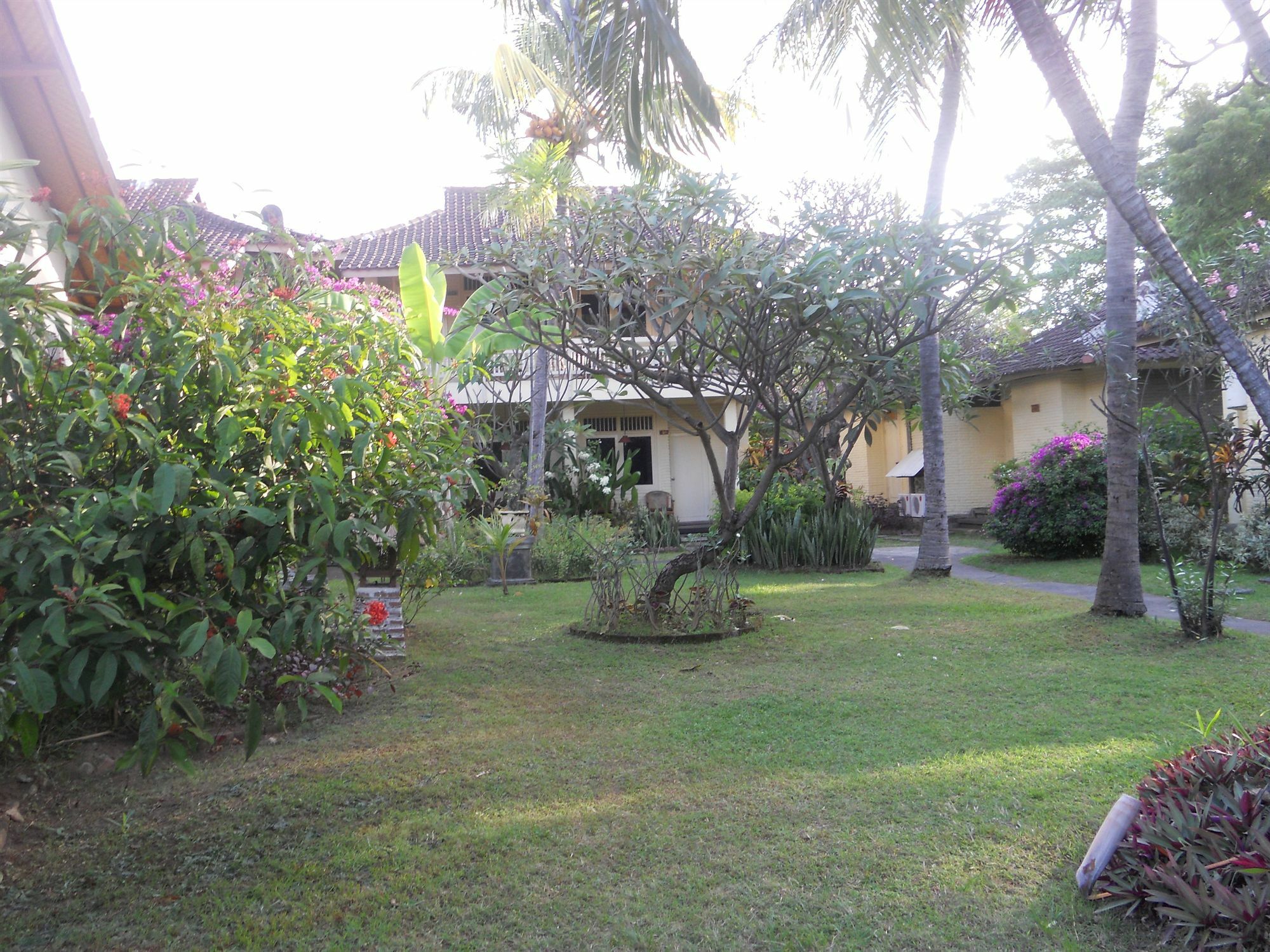 Bali Lovina Beach Cottages Pabean Buleleng Exteriér fotografie