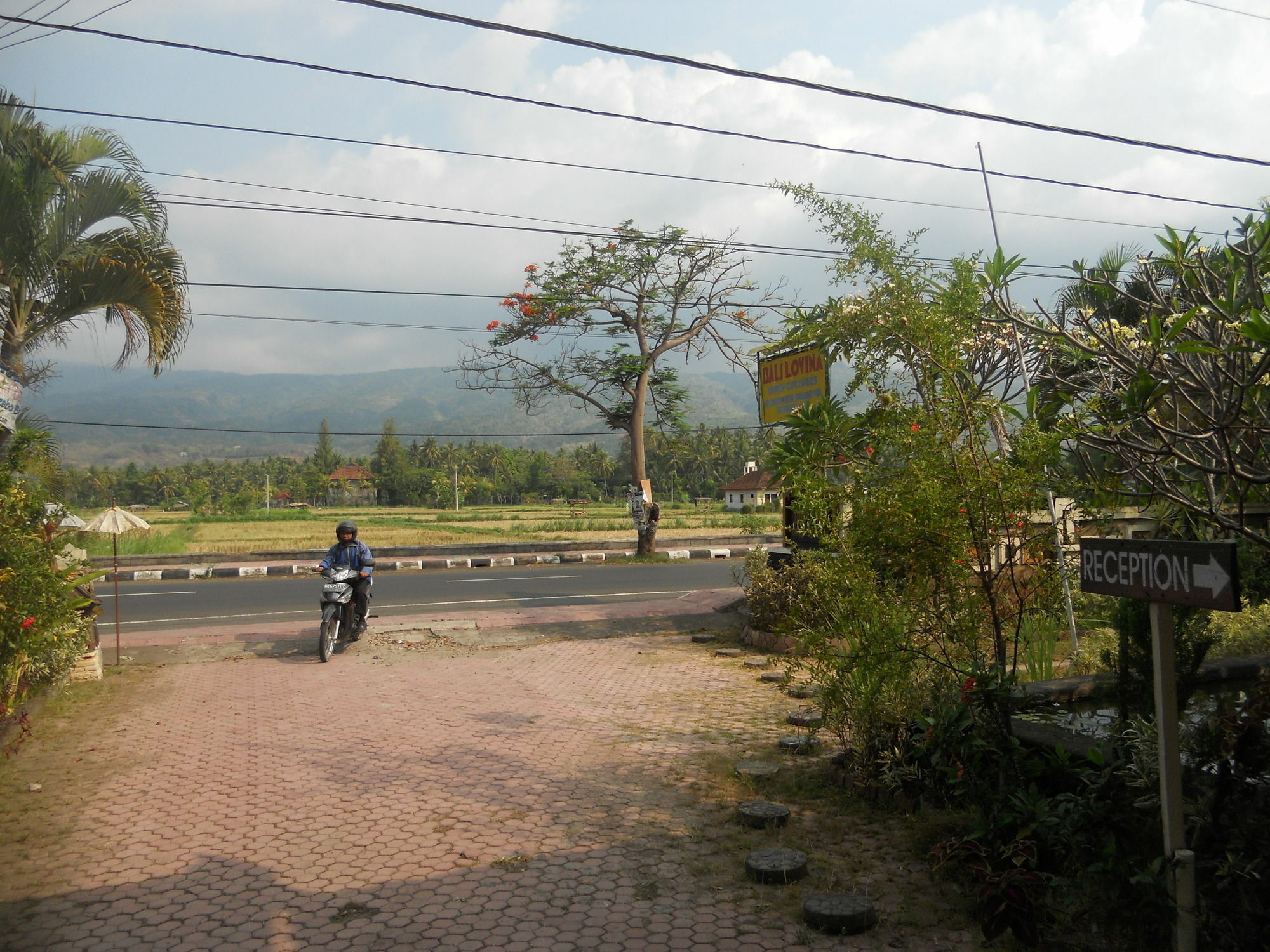 Bali Lovina Beach Cottages Pabean Buleleng Exteriér fotografie