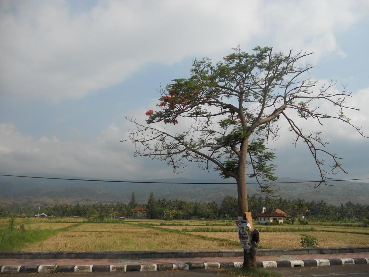Bali Lovina Beach Cottages Pabean Buleleng Exteriér fotografie